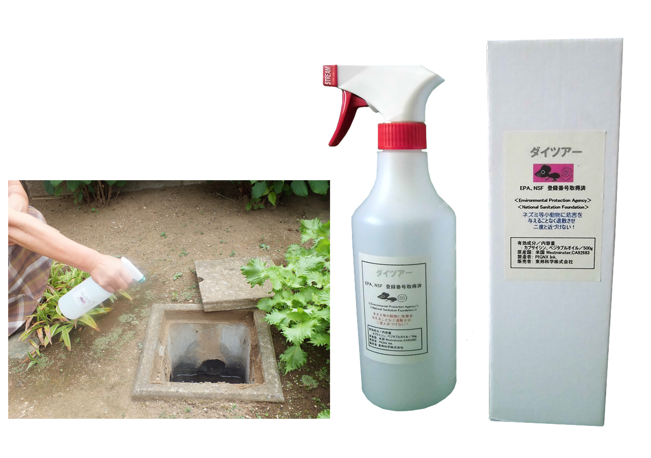 DETOUR|デイツアー