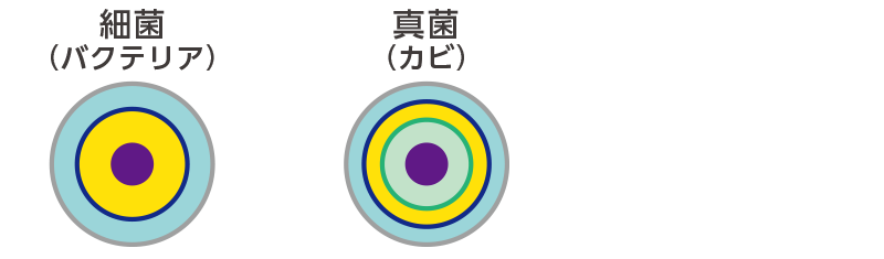 アッピWのメカニズム 03