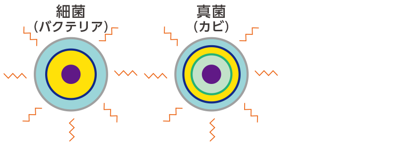 アッピWのメカニズム 04