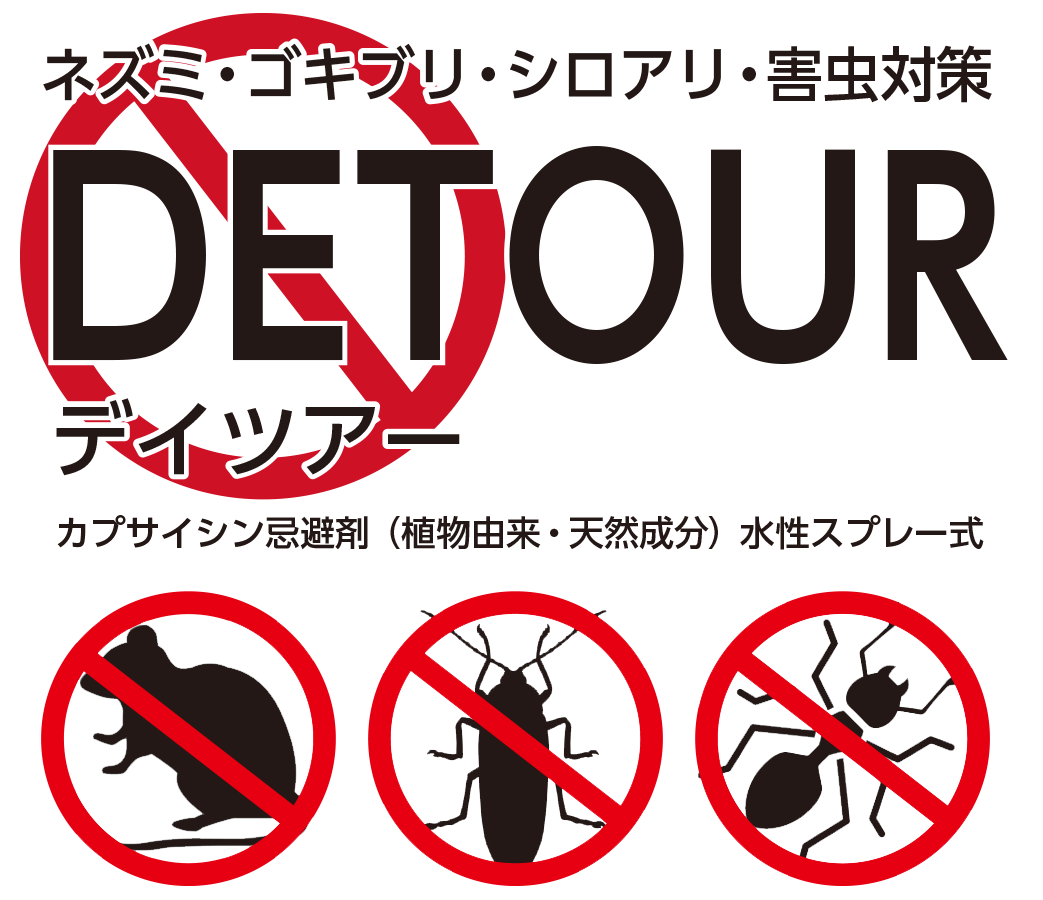 DETOUR|デイツアー